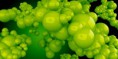 /album/abstraktni-3d-grafika/a3d-abstaction-of-green-ball-conglomeration-jpg/